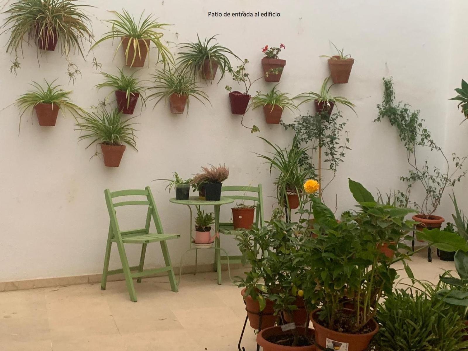 Casa Yaye Puerta Palma Apartment Écija Екстериор снимка